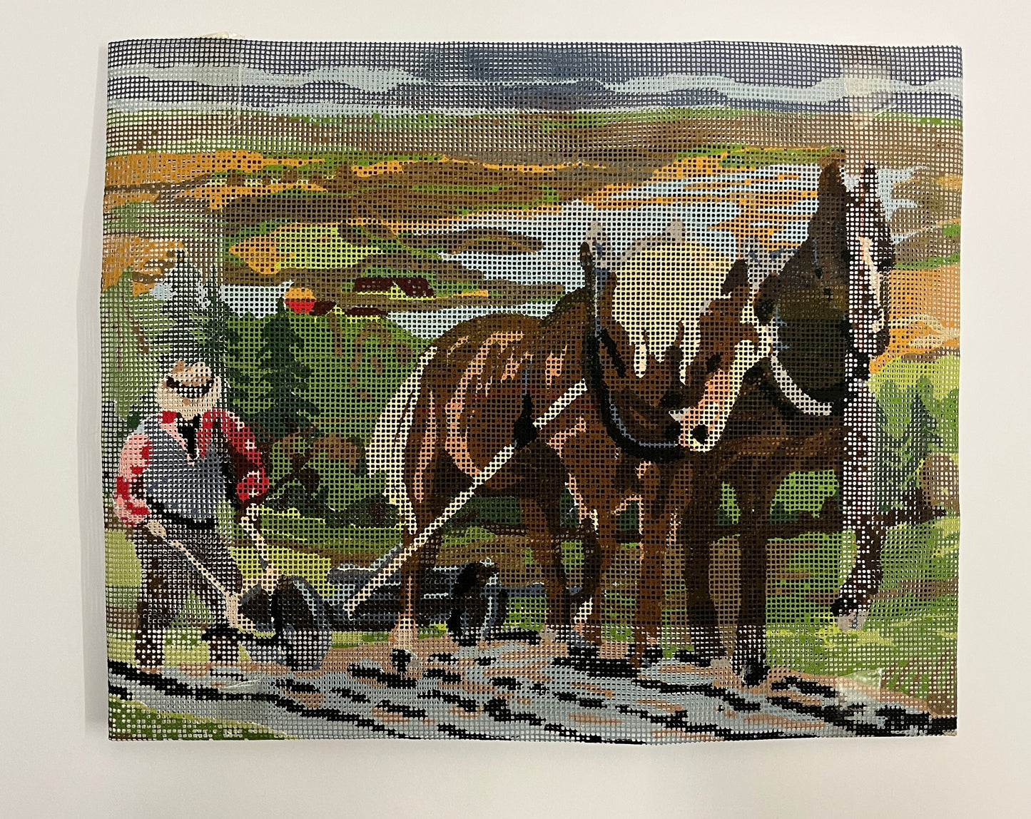 ZGODBA O ORANJU 46x36
